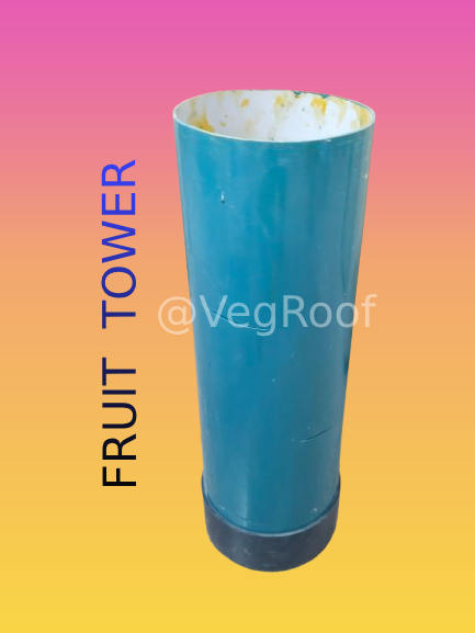 1 Fruit Tower