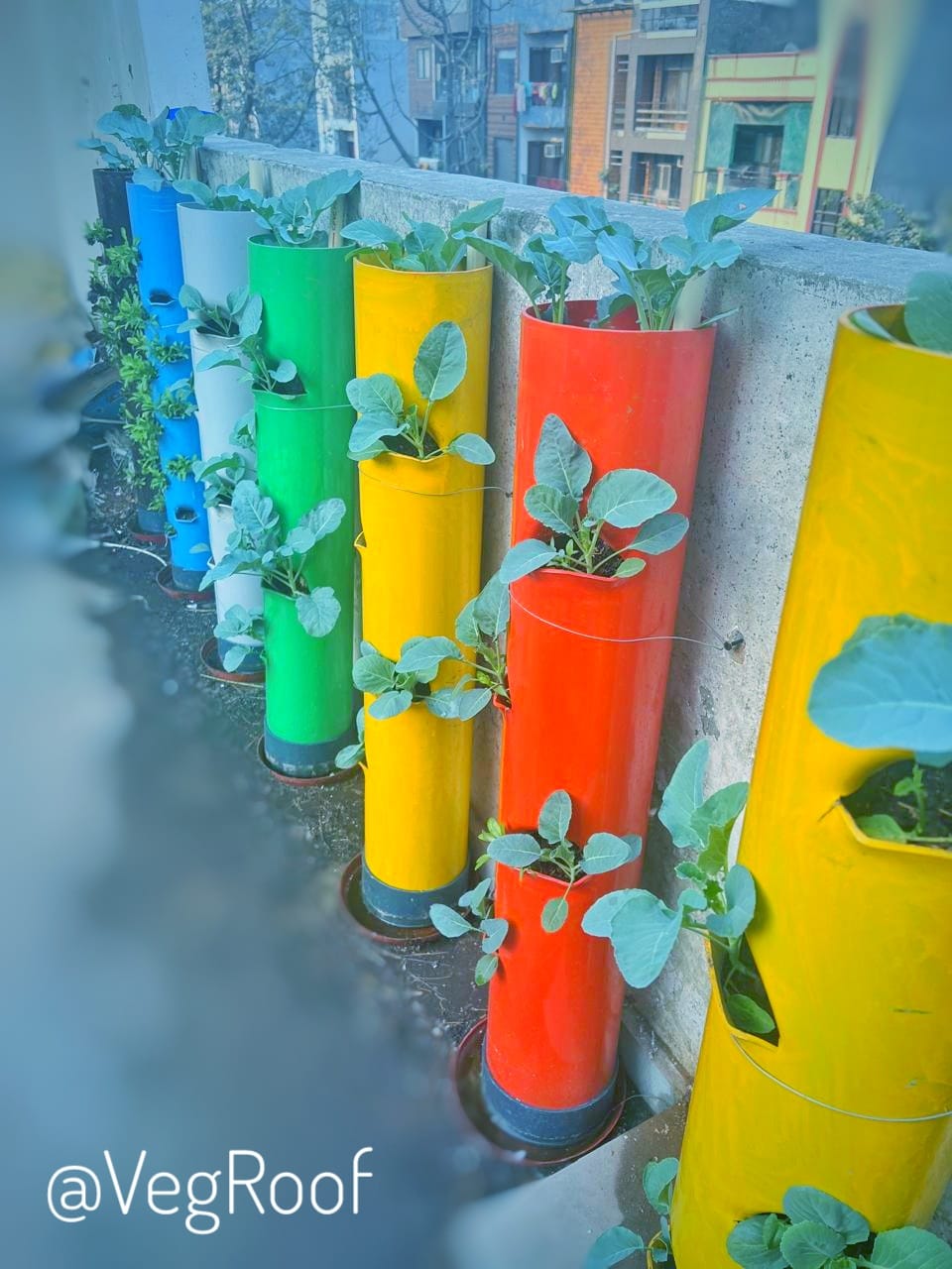 Set of 24 Vegetable Towers