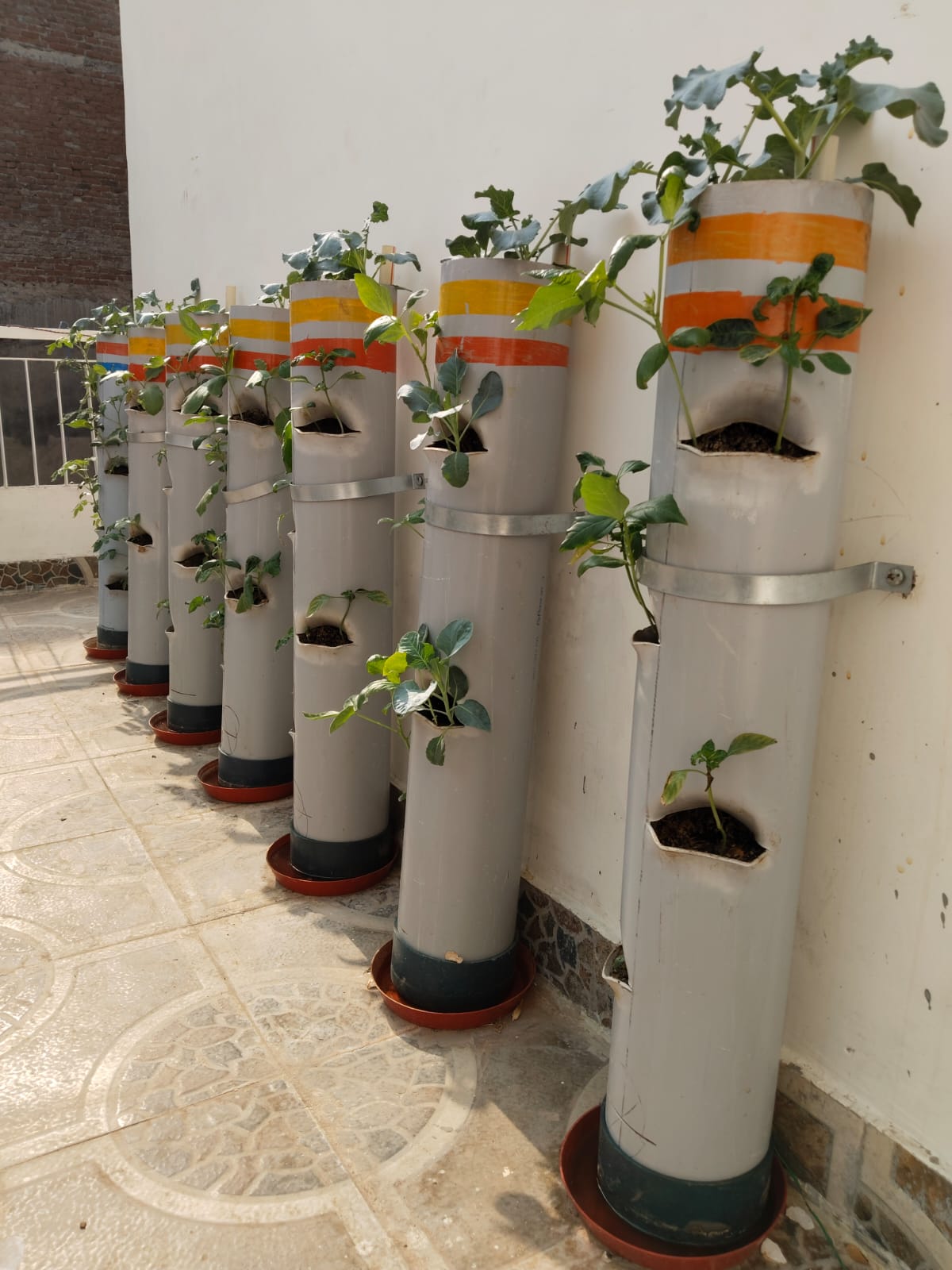 1 Regular Vegetable Tower