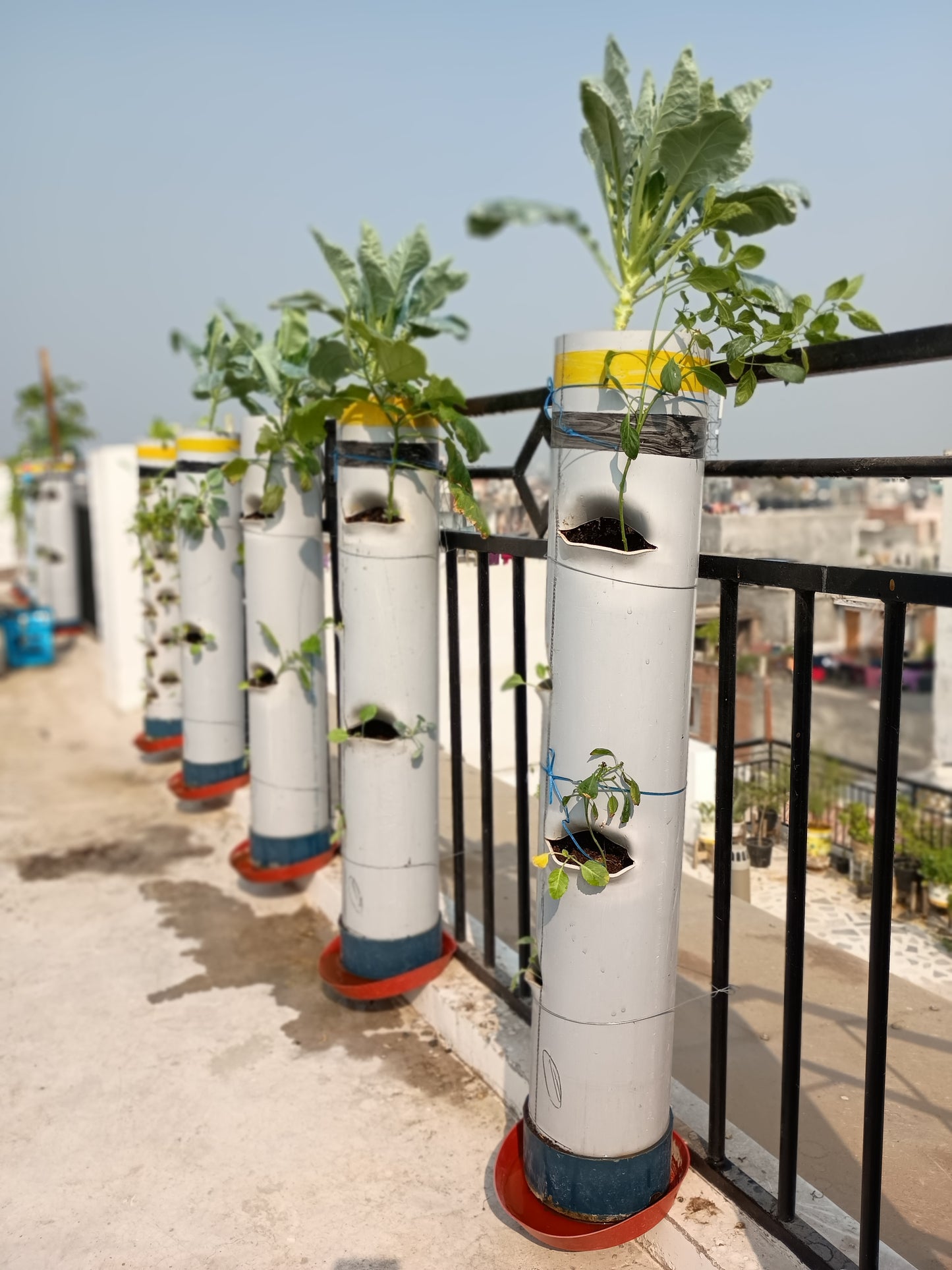 Set of 5 Vegetable Towers