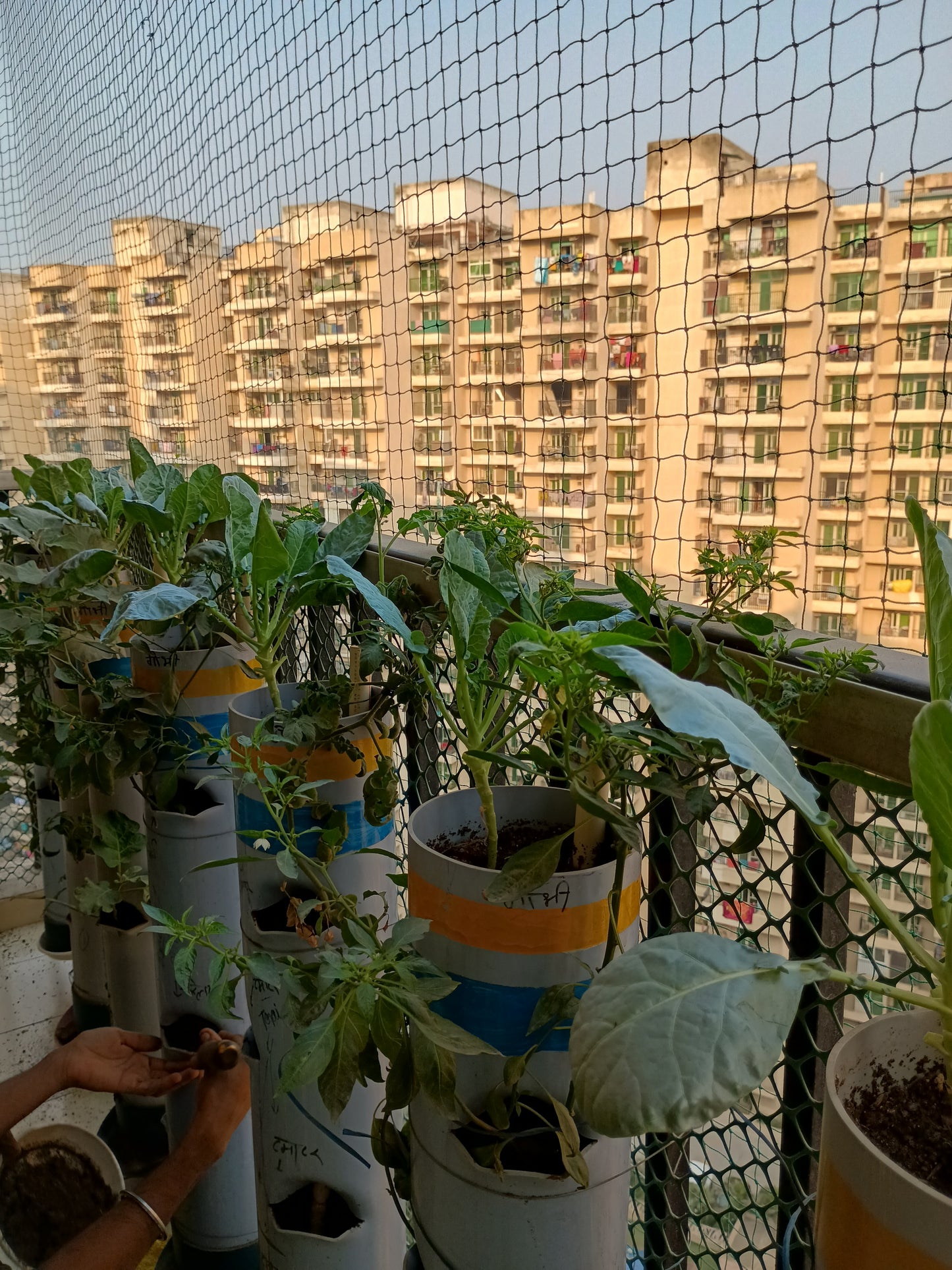 Set of 5 Vegetable Towers