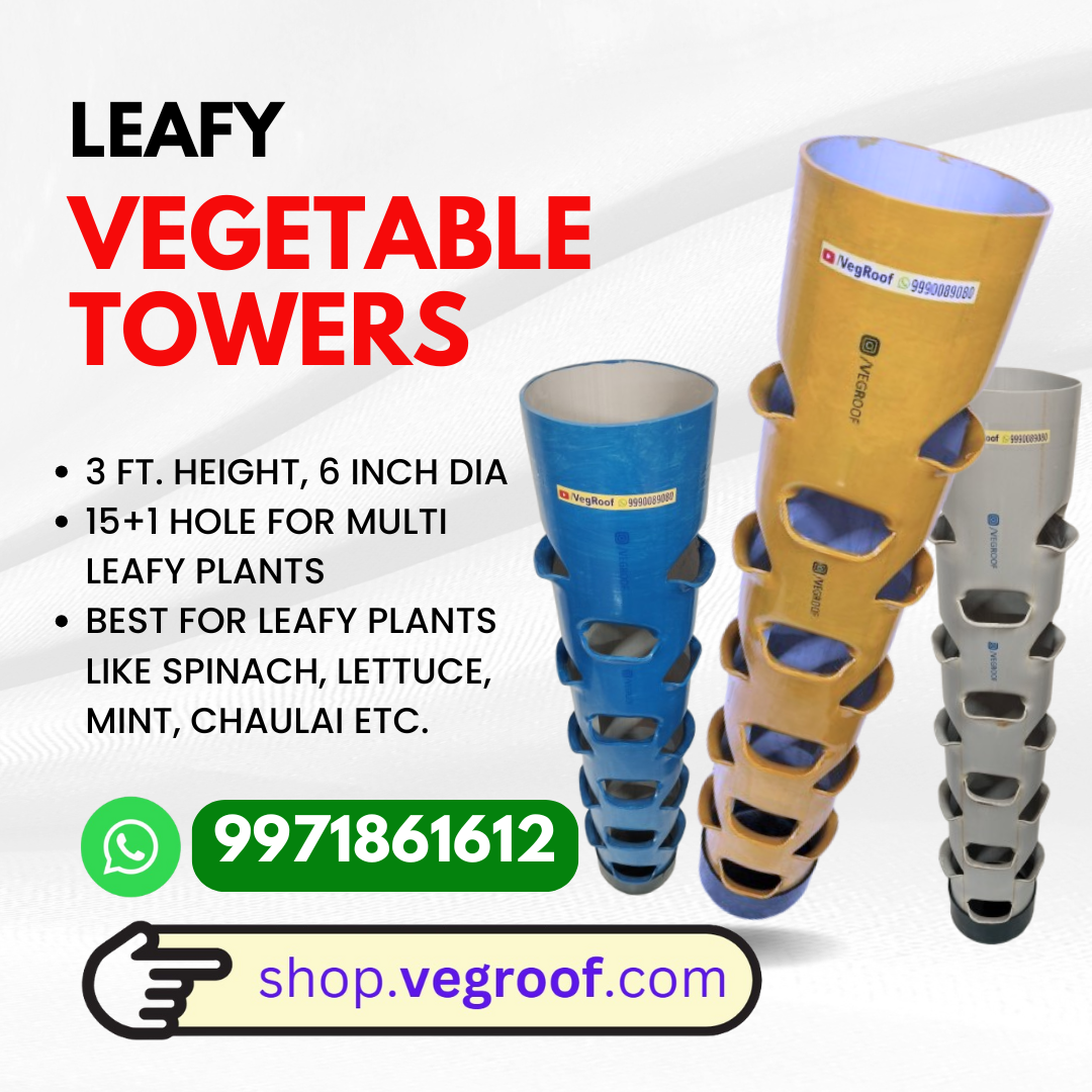 1 Leafy Vegetable Tower