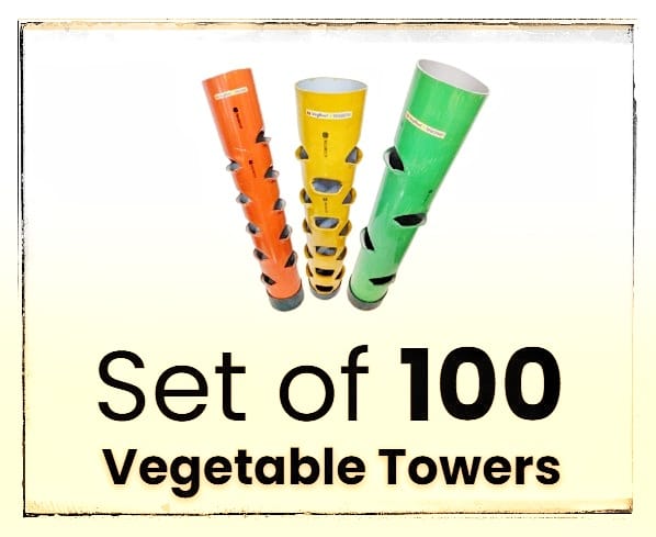 Set of 100 Vegetable Towers