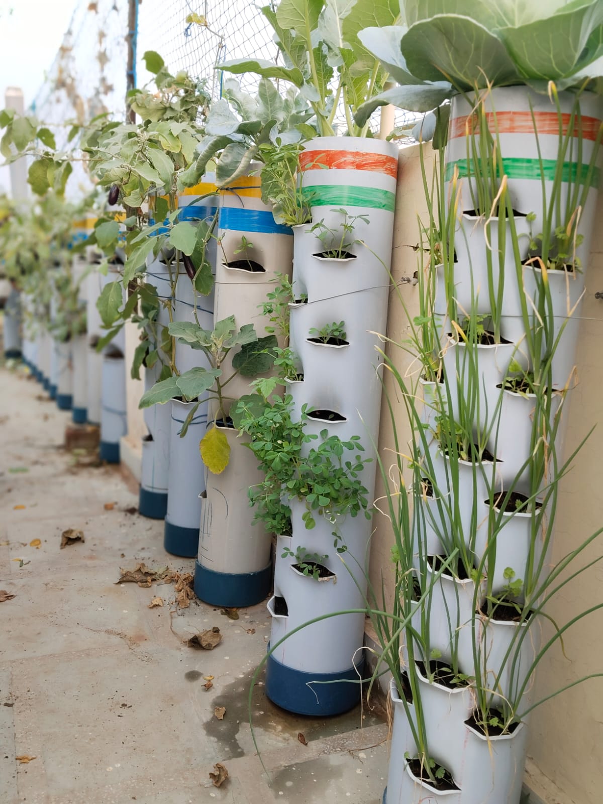 1 Leafy Vegetable Tower